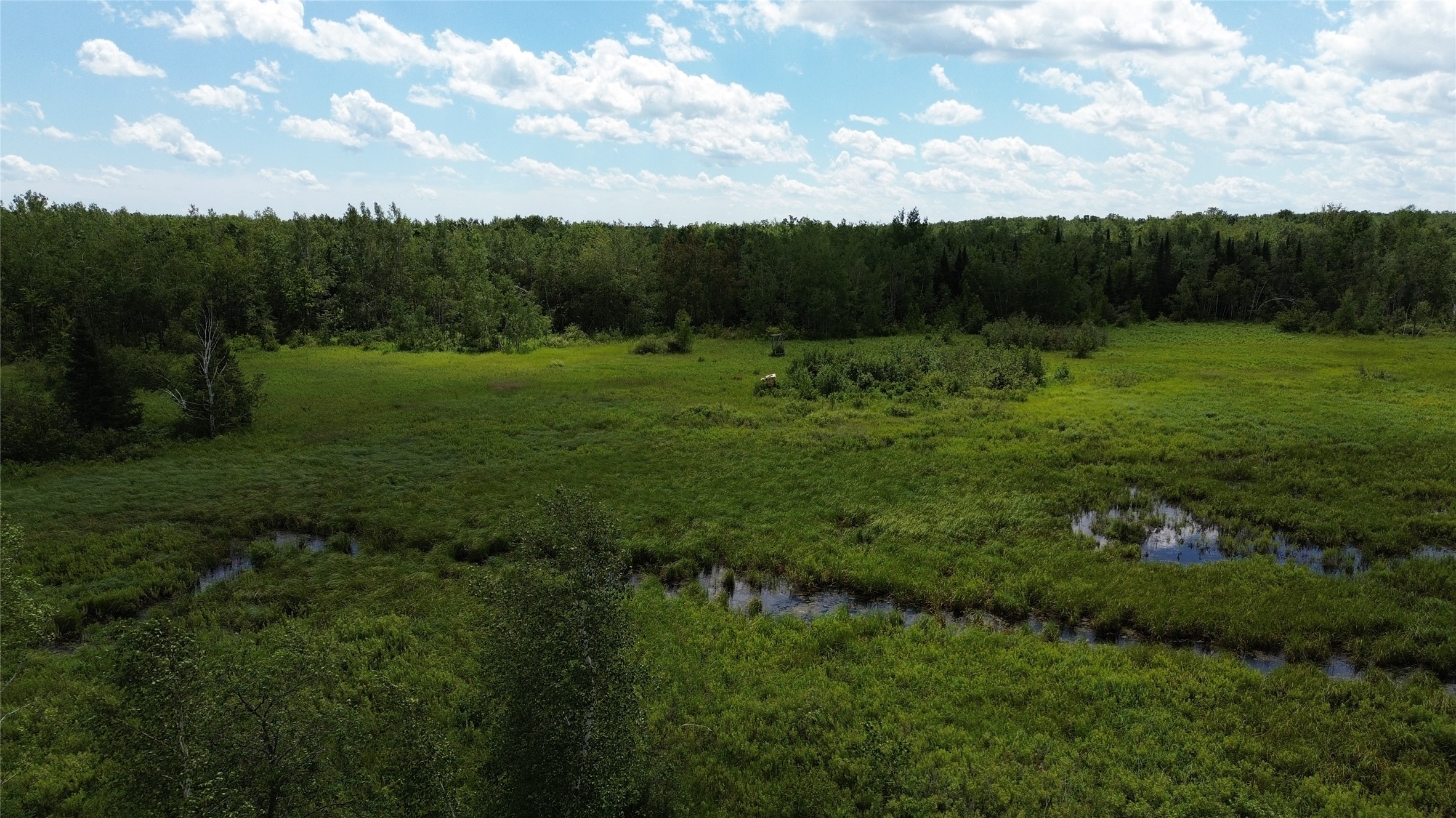 Property Photo #11