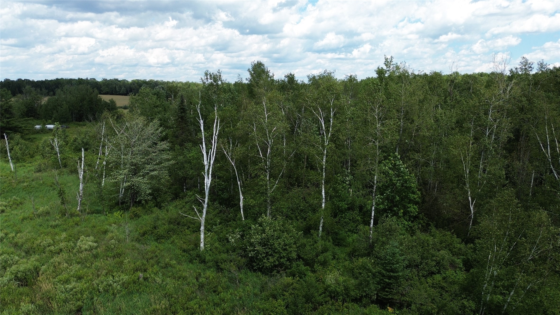 Property Photo #12