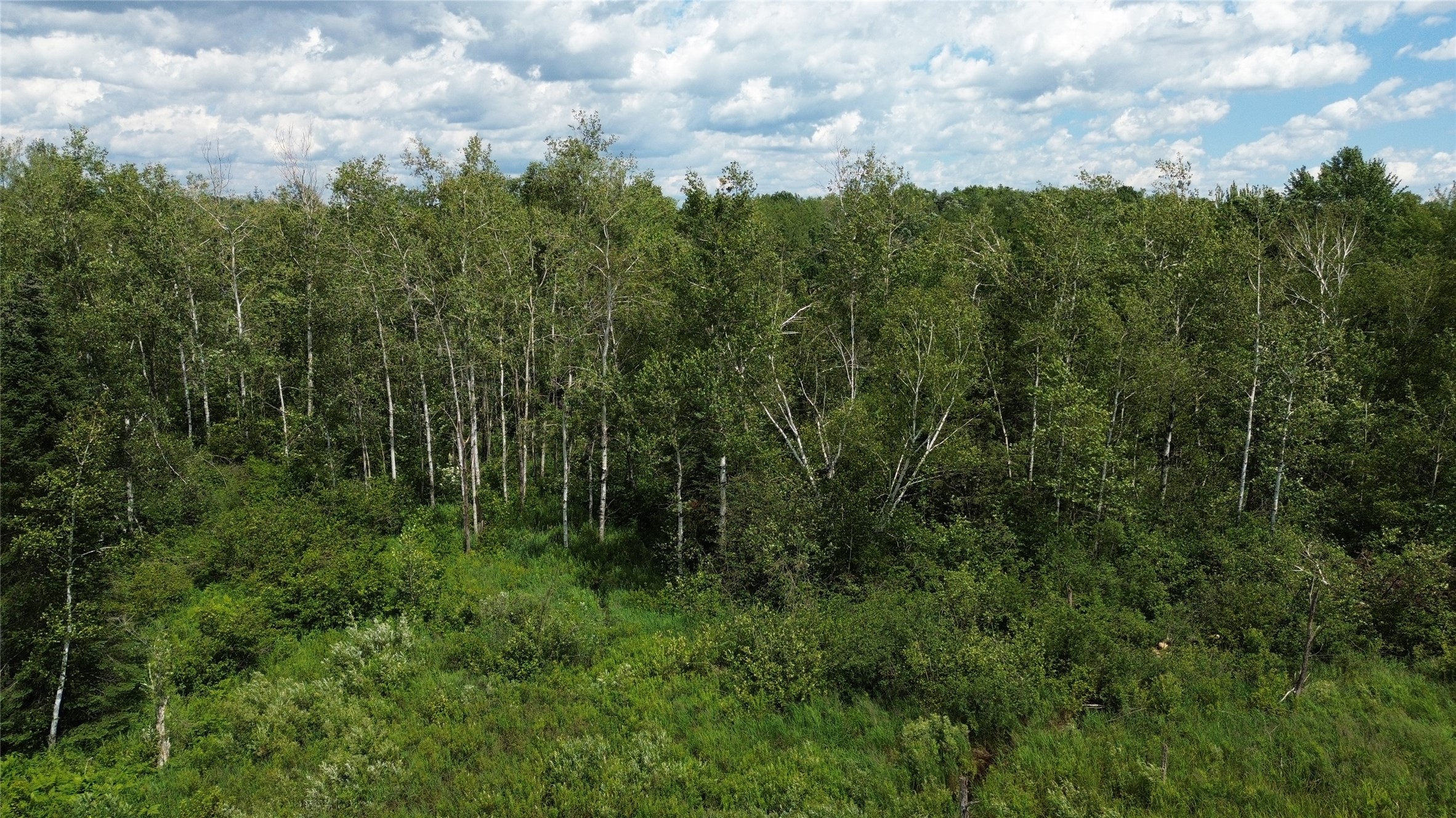 Property Photo #14