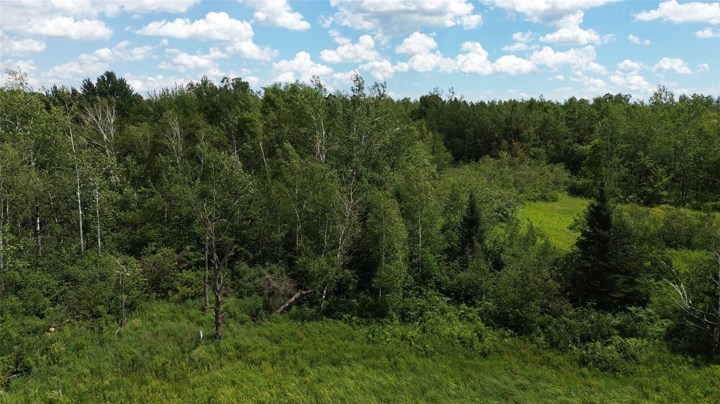 Property Photo #15