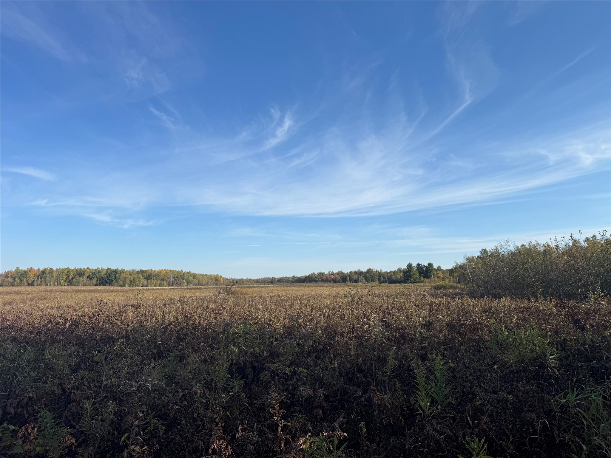 Property Photo #21