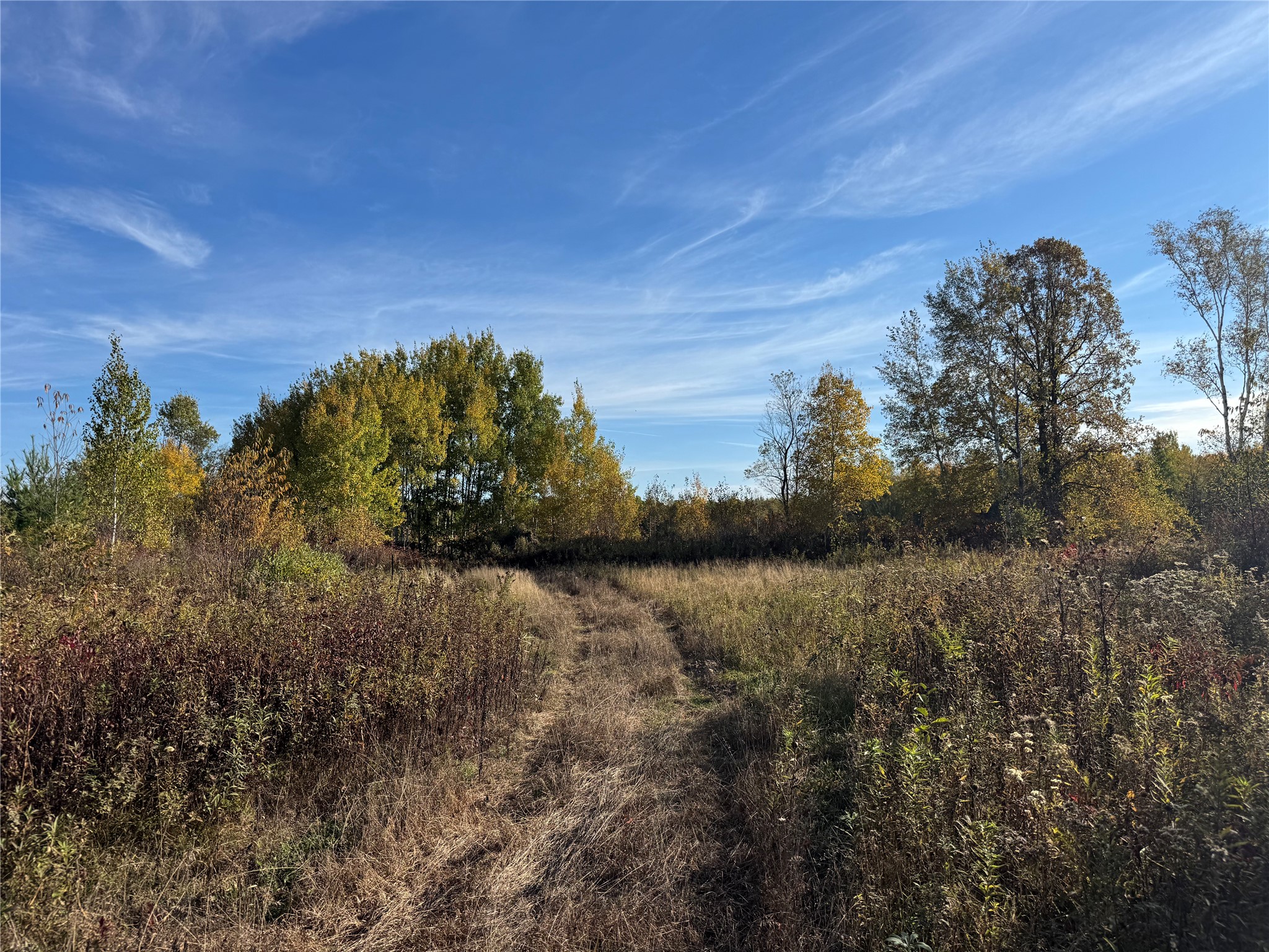 Property Photo #4