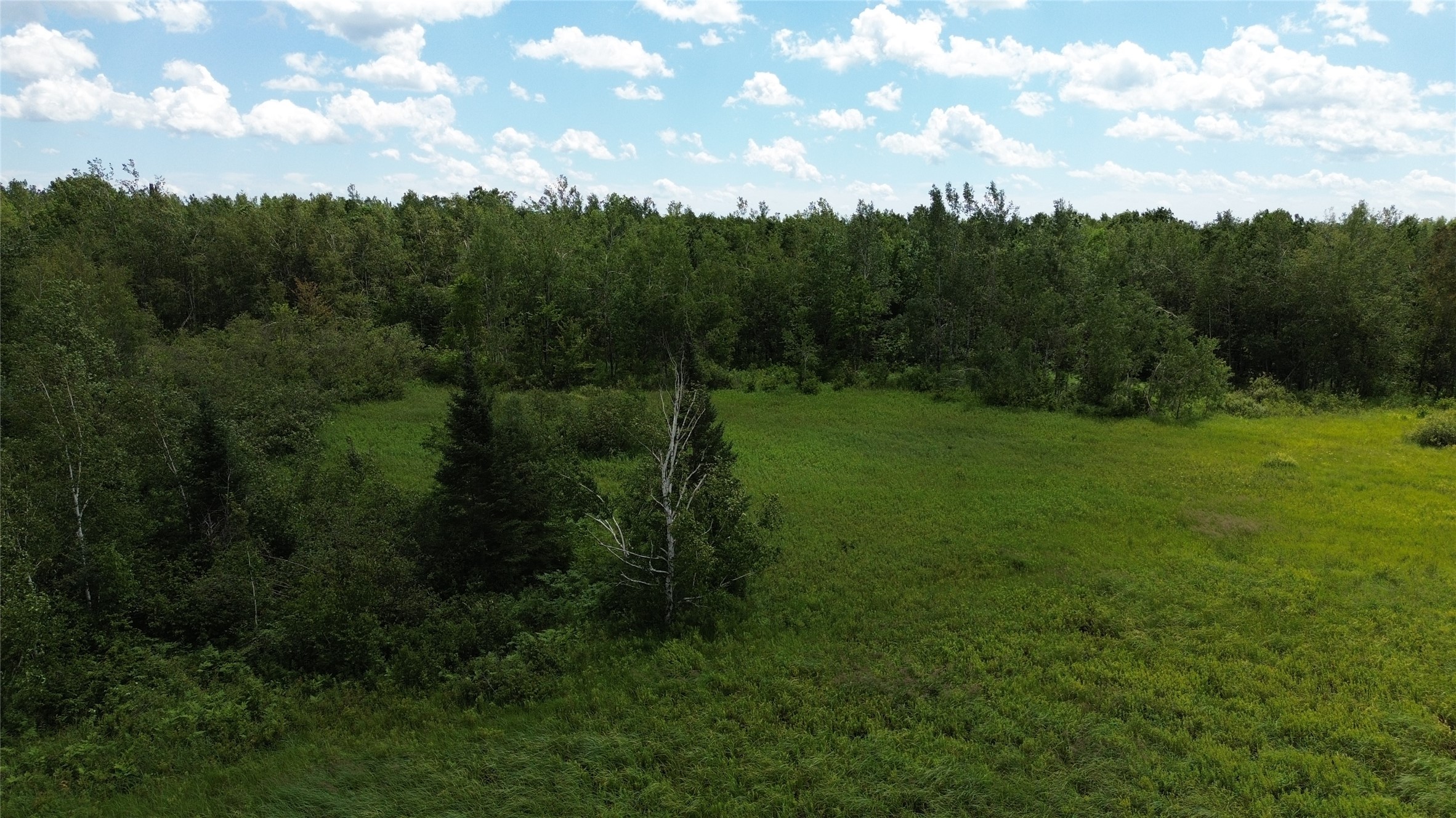 Property Photo #6