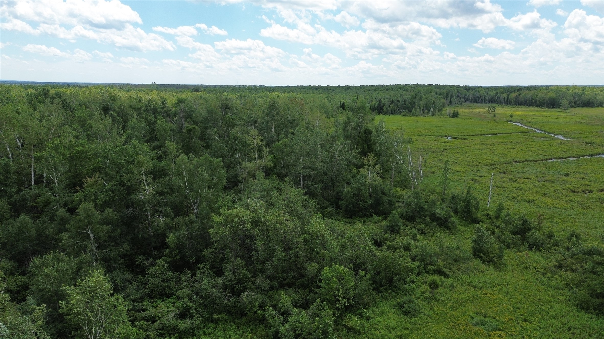 Property Photo #7