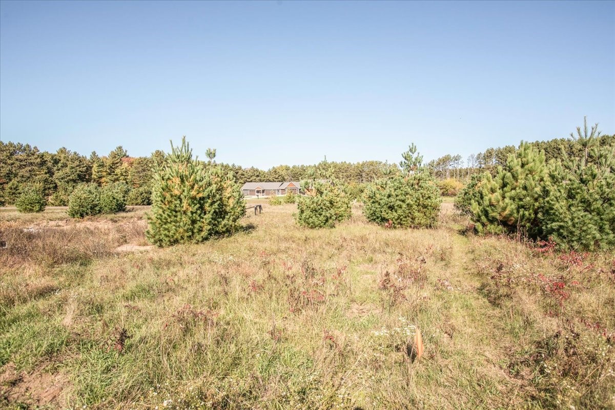 Property Photo #8