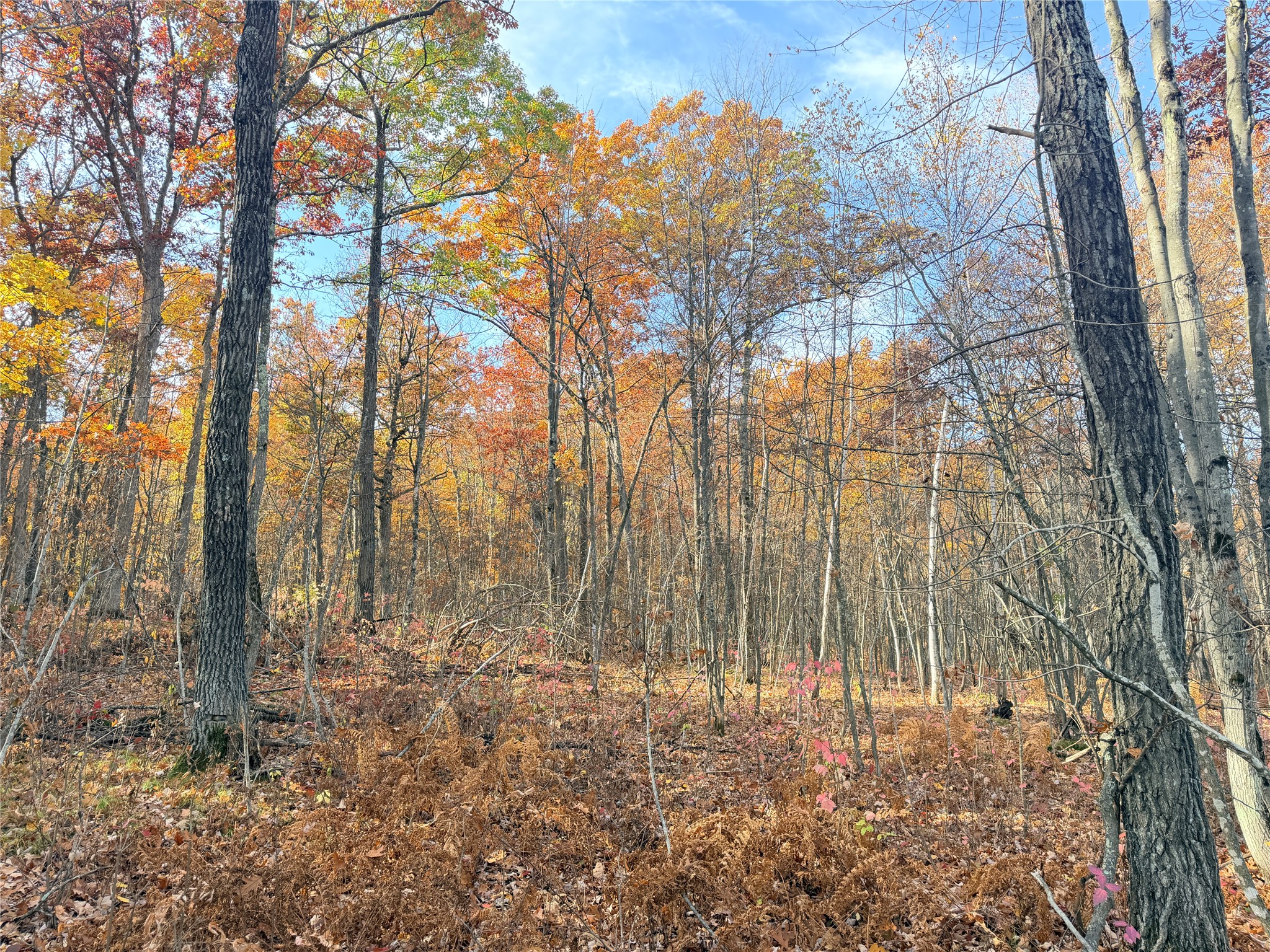 Property Photo #10