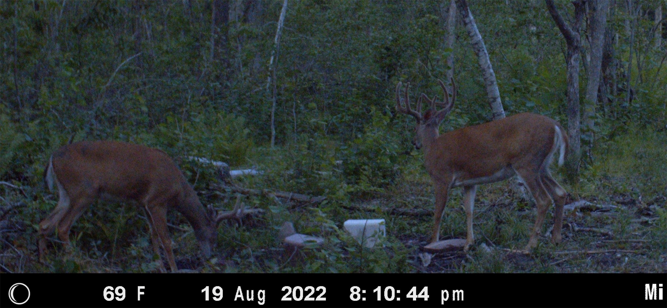 Property Photo #11