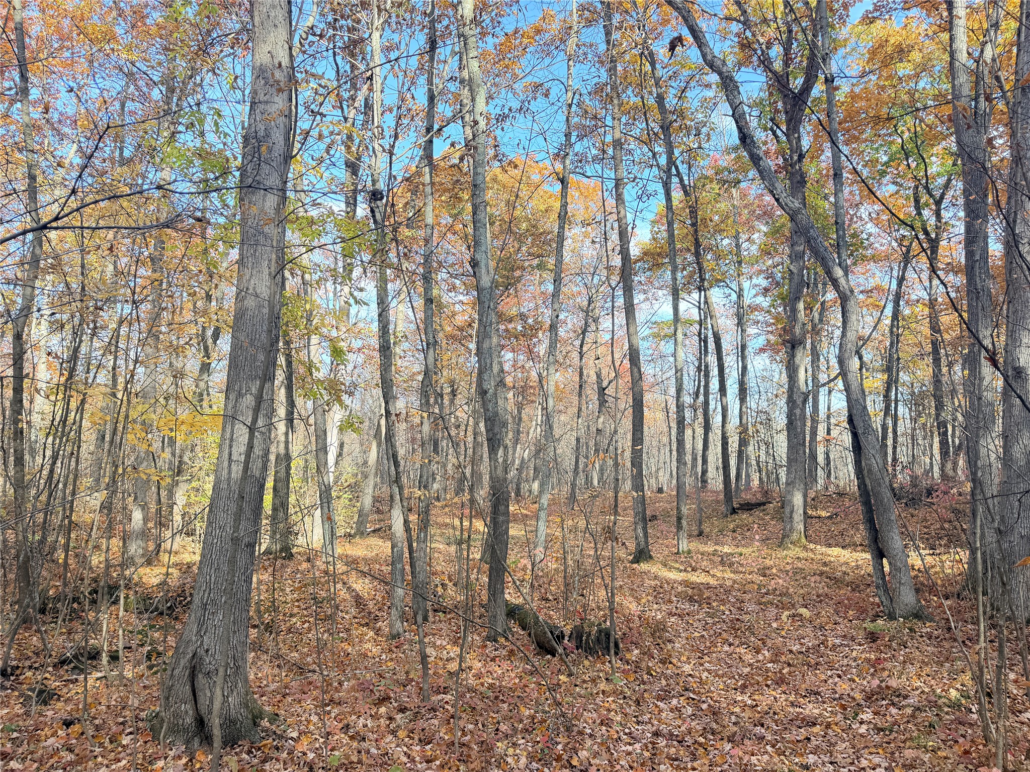 Property Photo #12