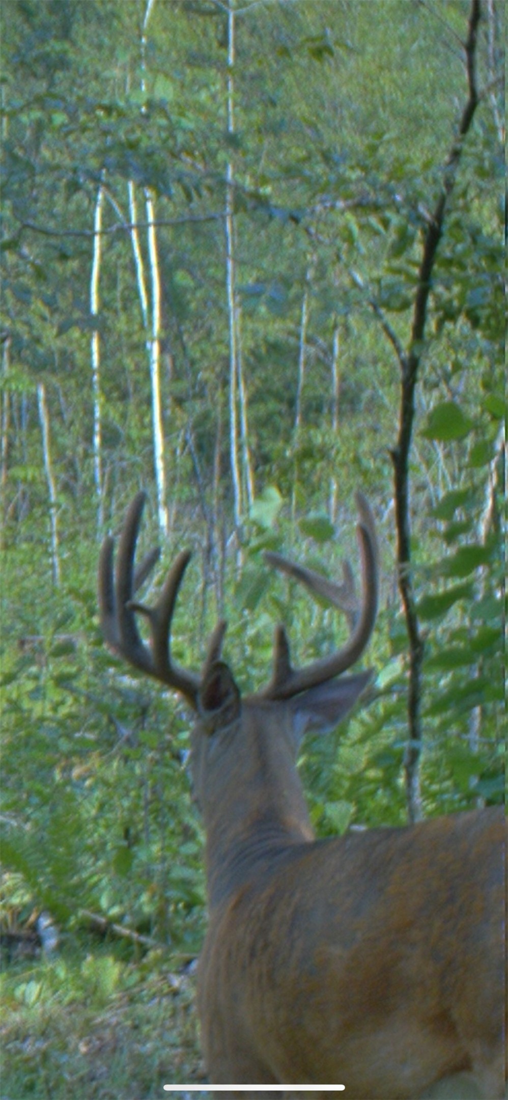 Property Photo #13
