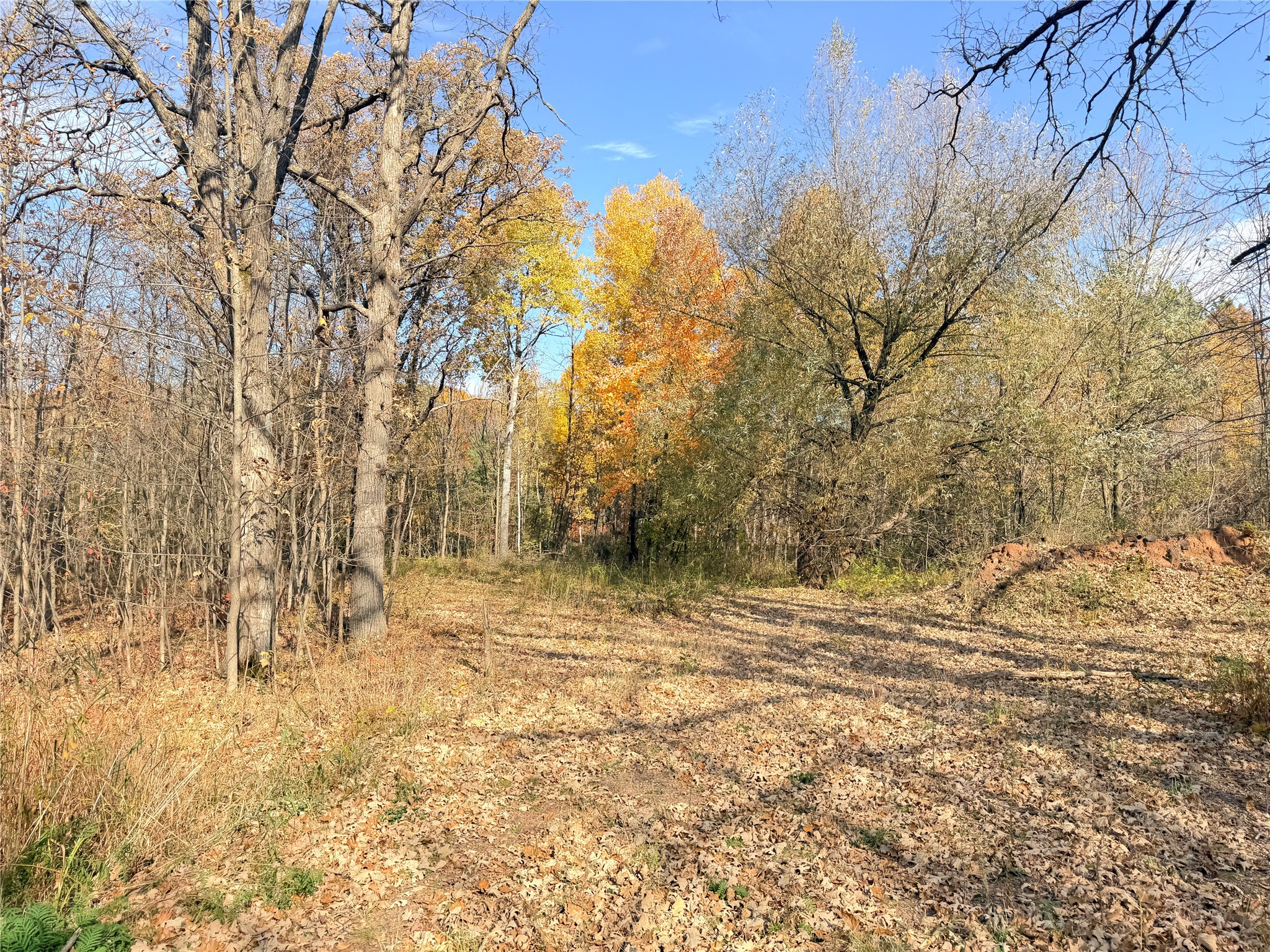 Property Photo #14