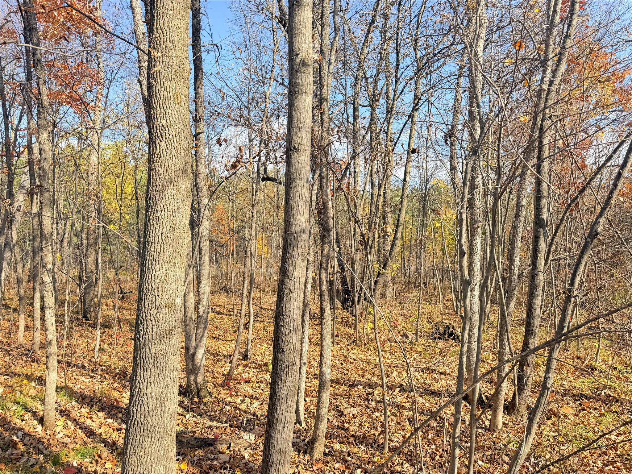 Property Photo #16