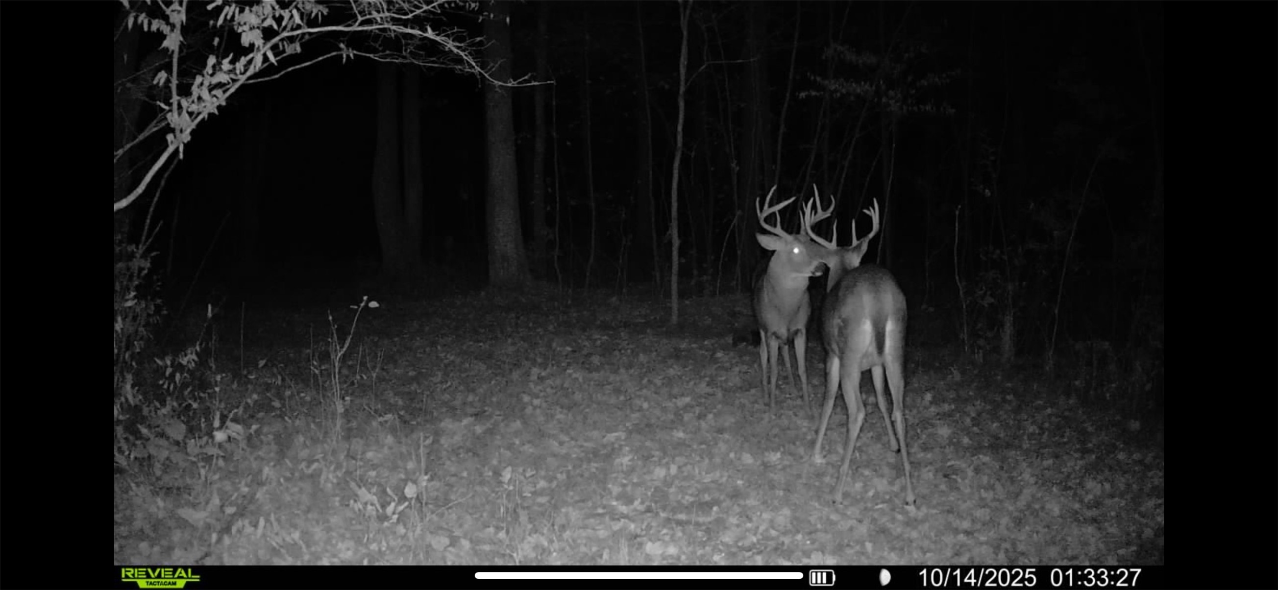 Property Photo #17