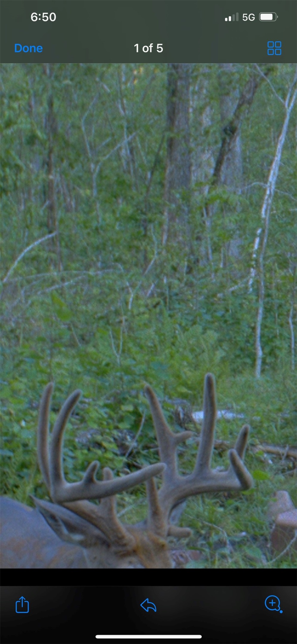 Property Photo #19