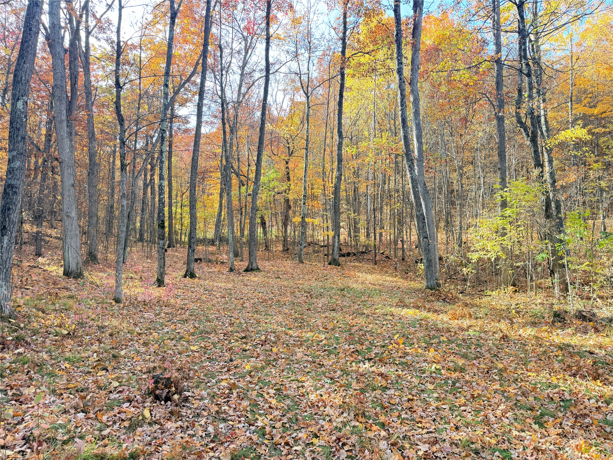 Property Photo #42
