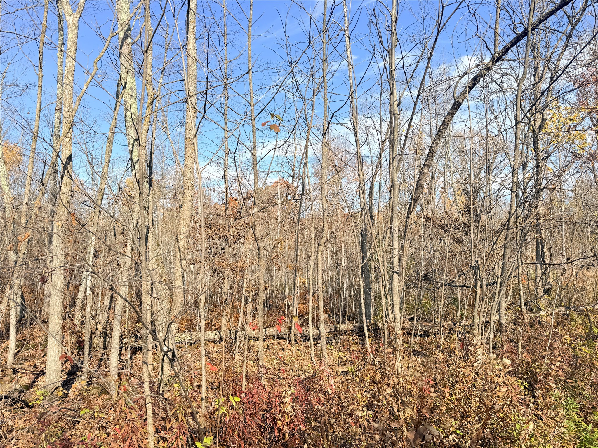 Property Photo #57