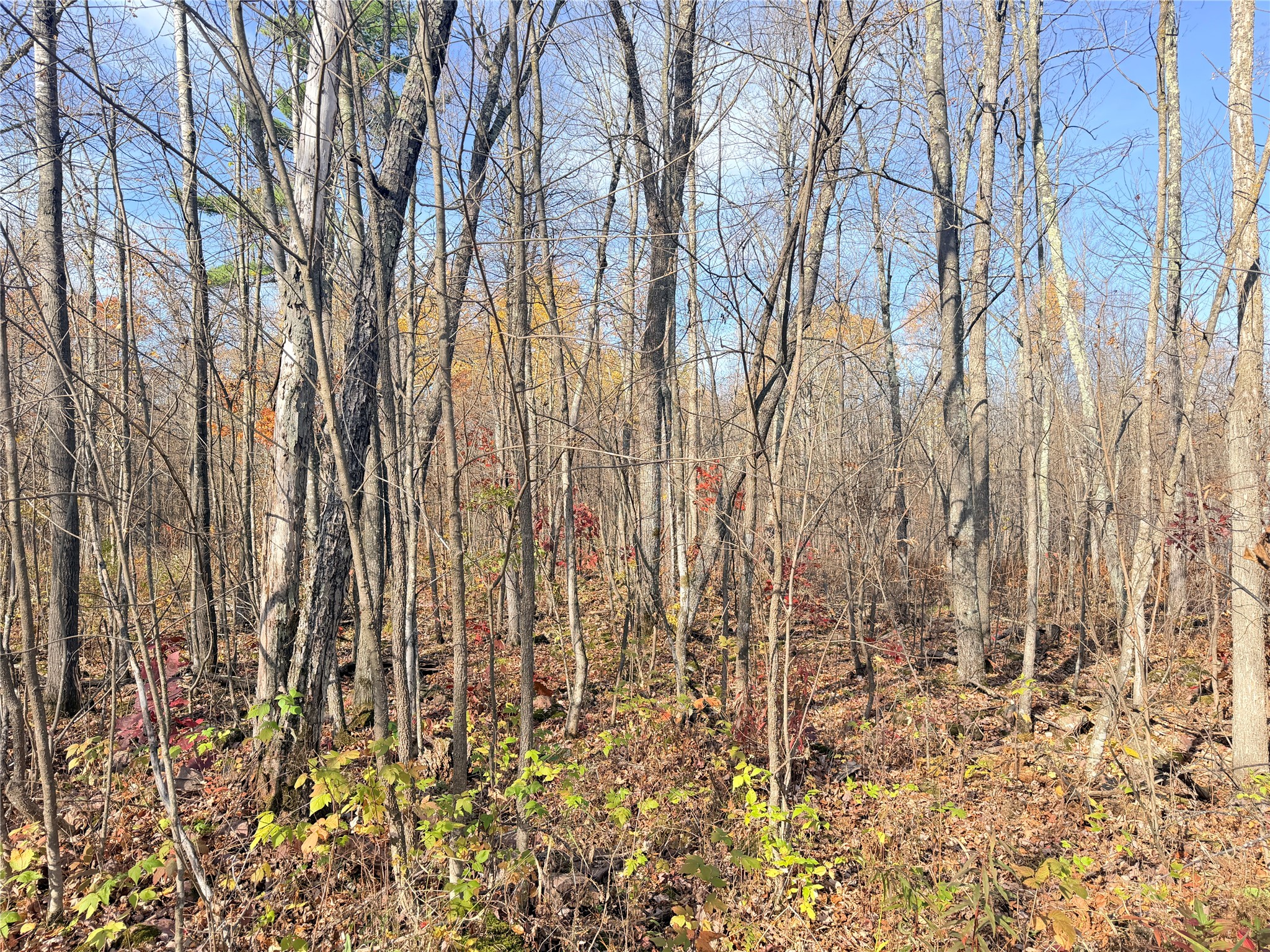 Property Photo #58