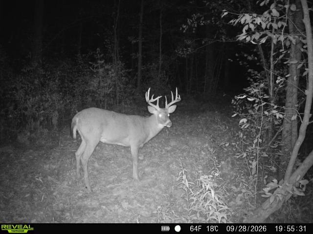 Property Photo #9